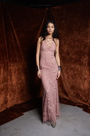 CHANTILLY LACE BLUSH DRESS