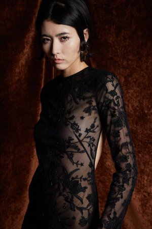 CHANTILLY LACE NOIR SLEEVED DRESS