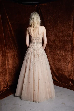 CHAMPAGNE CONSTELLATION DRESS