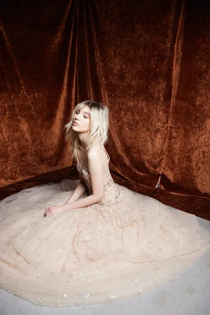 CHAMPAGNE CONSTELLATION DRESS