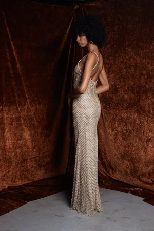 RETE CHAMPAGNE DRESS