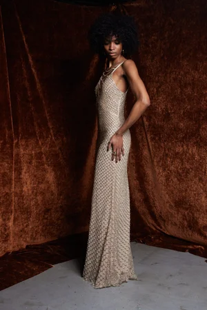 RETE CHAMPAGNE DRESS