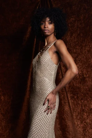 RETE CHAMPAGNE DRESS