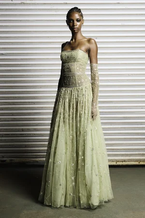 CONSTELLATION JADE STRAPLESS DRESS