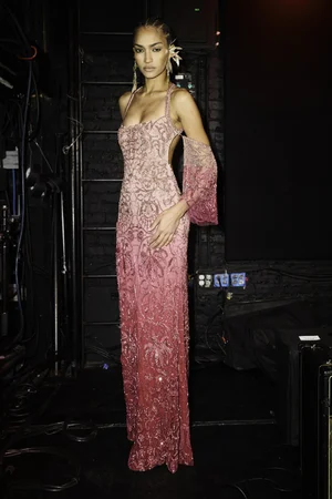LILY DENTELLE DEGRADÉ DRESS