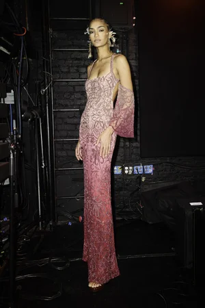 LILY DENTELLE DEGRADÉ DRESS