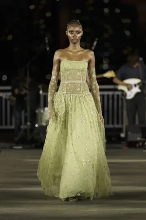 CONSTELLATION JADE STRAPLESS DRESS