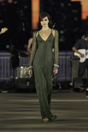 FIR GREEN DENTELLE NETTING DRESS