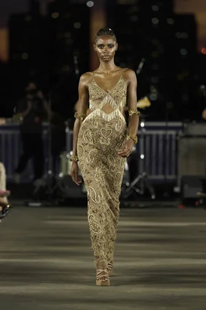 METAL PAISLEY CHAMPAGNE DRESS