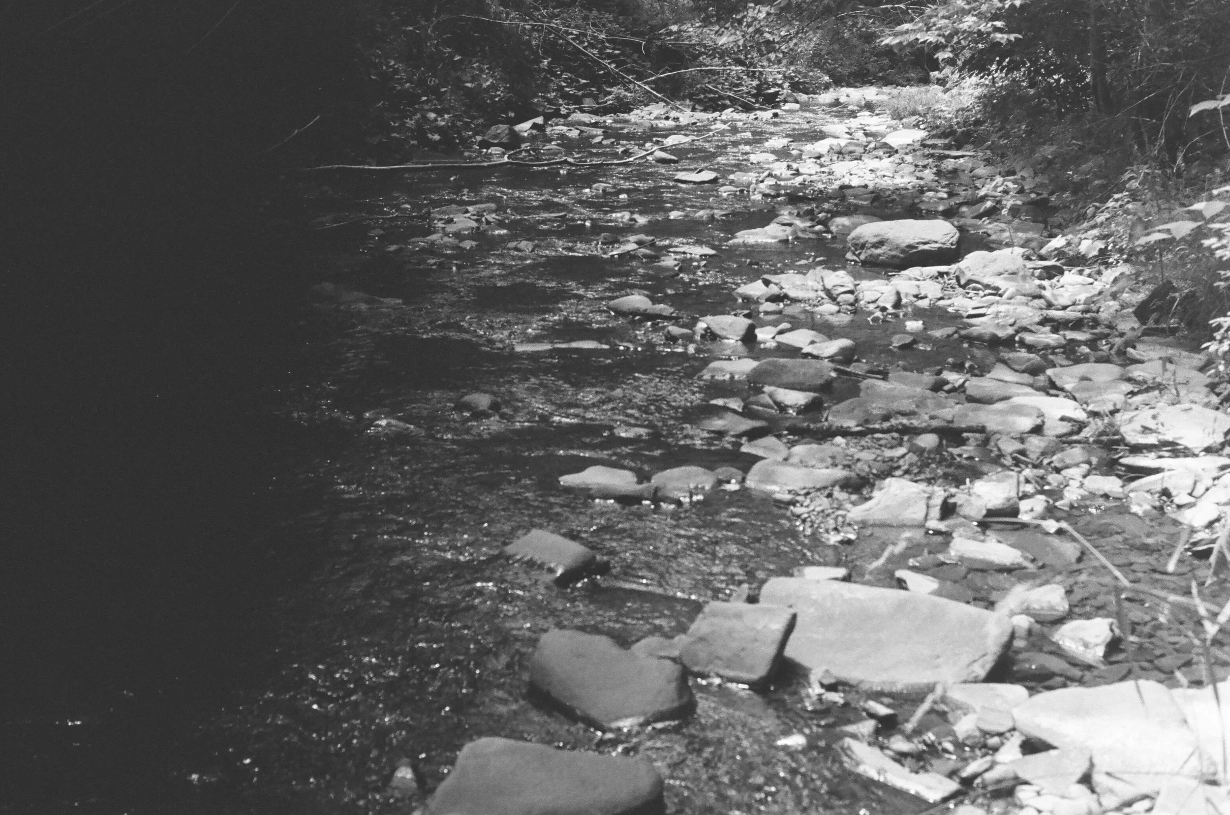 Riverbed . 2016 35mm