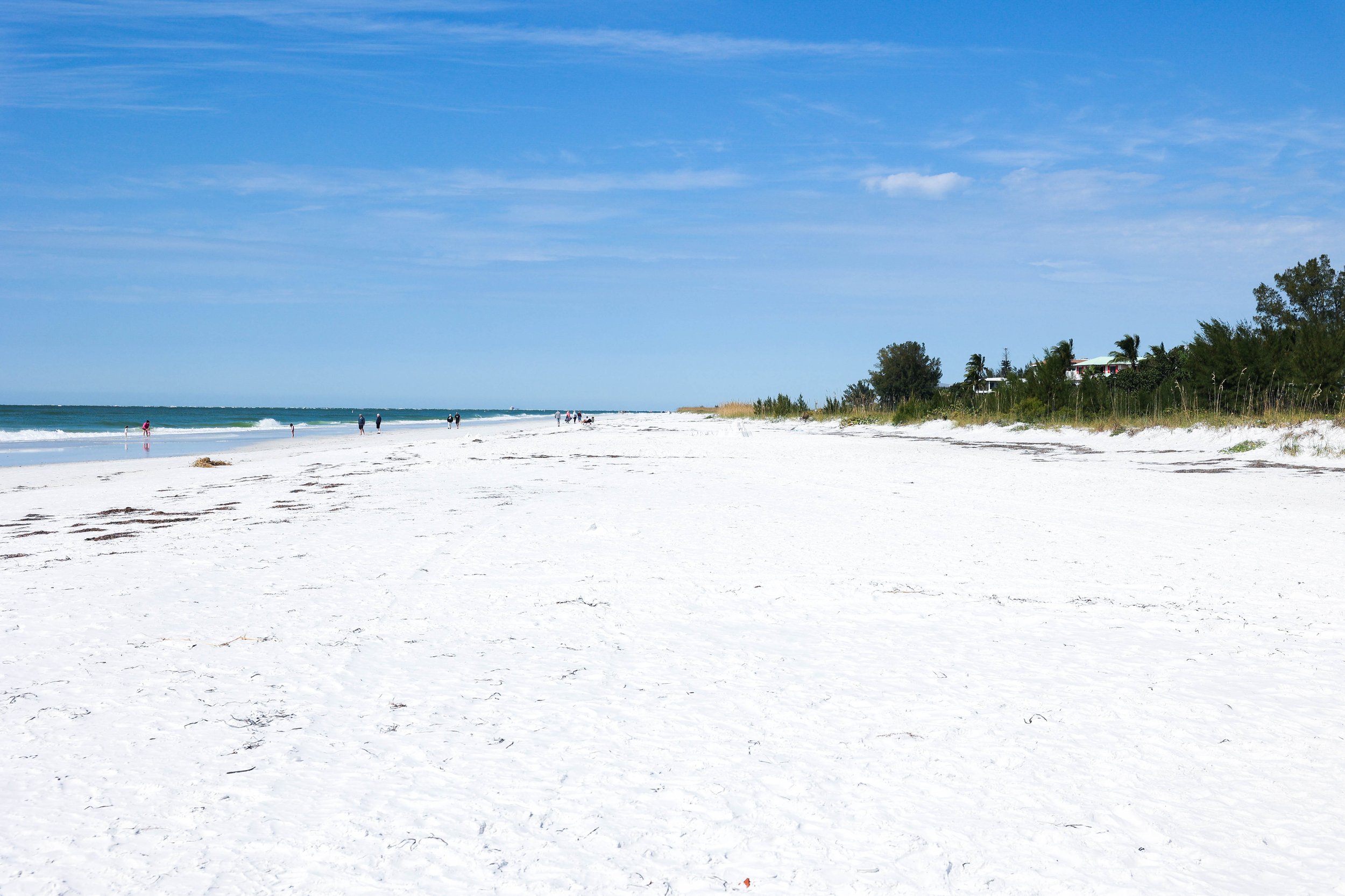 bradenton beach-25.jpg