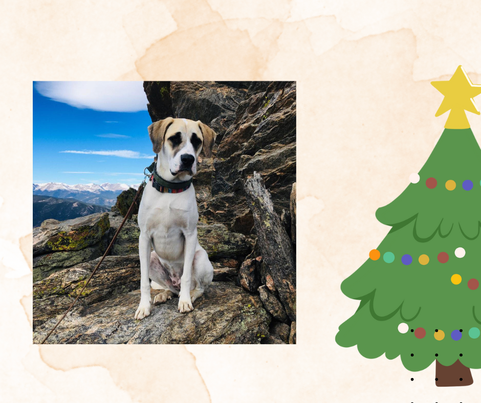 Copy of Copy of Meatball.png