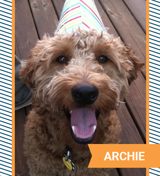 archie.png