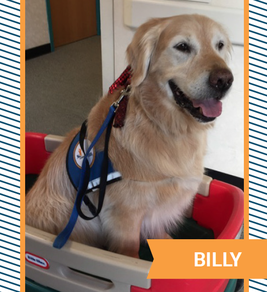billy.png