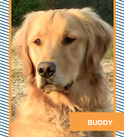 buddy.png