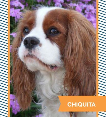 Chiquita.png