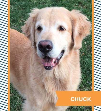 chuck.png