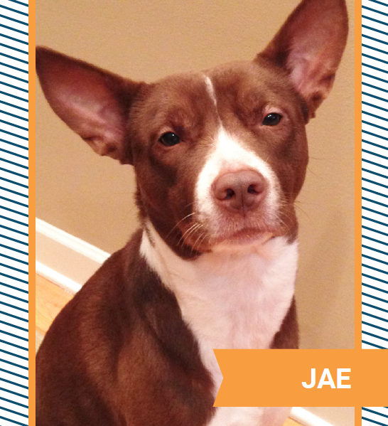 jae.png