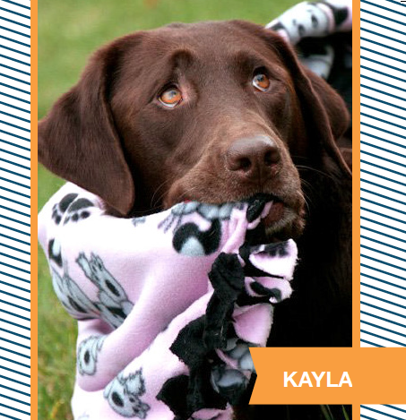 kayla.png