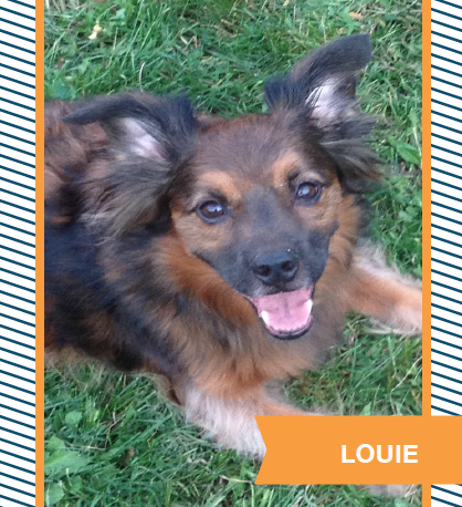 louie.png