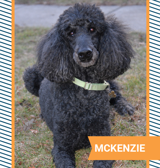mckenzie.png