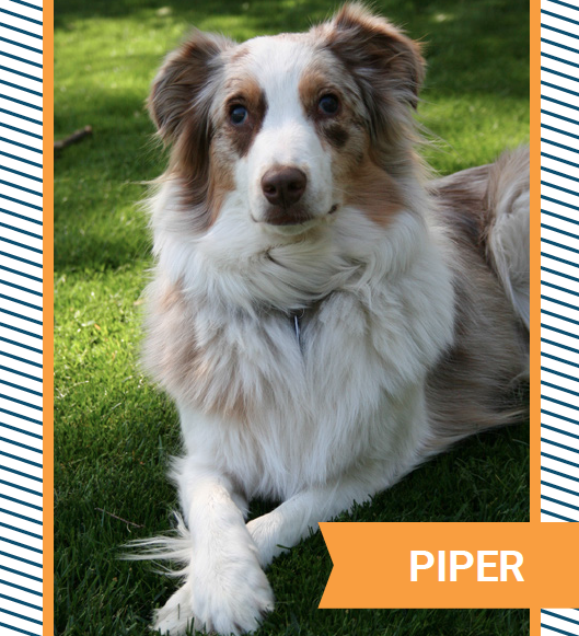 piper.png