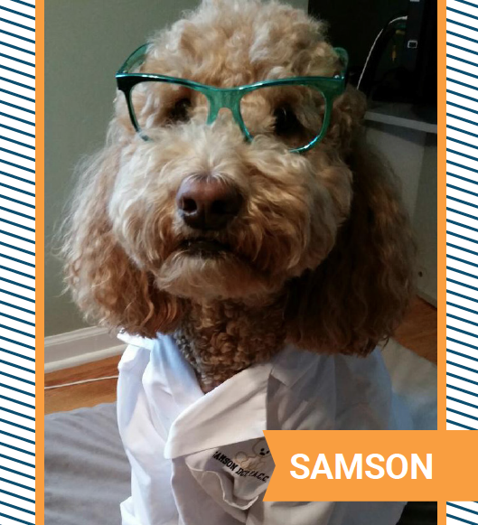 samson.png
