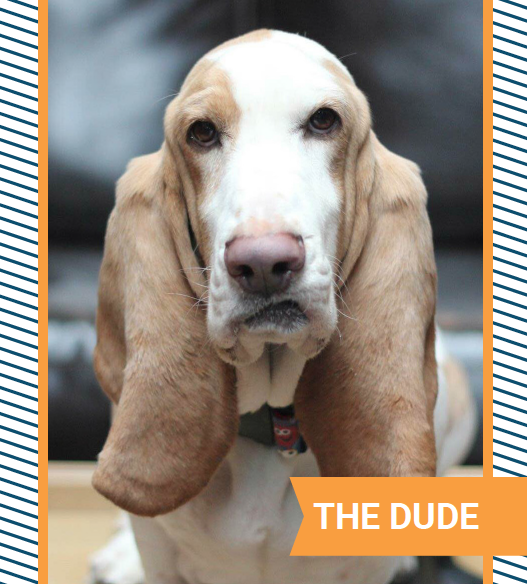 the dude.png