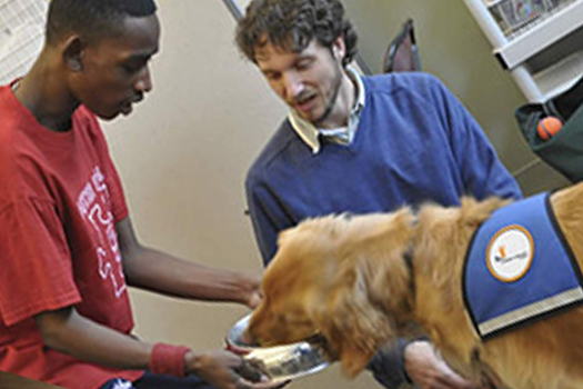 An Easter Seals student feeds Buddy (photos courtesy of Joy Schmoll)