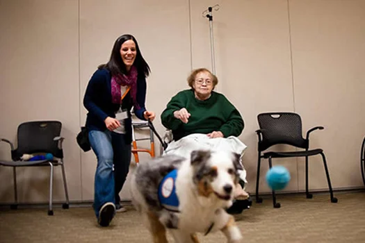 Caeli retrieves a ball for her patient. (photo courtesy of Lumen Photography)