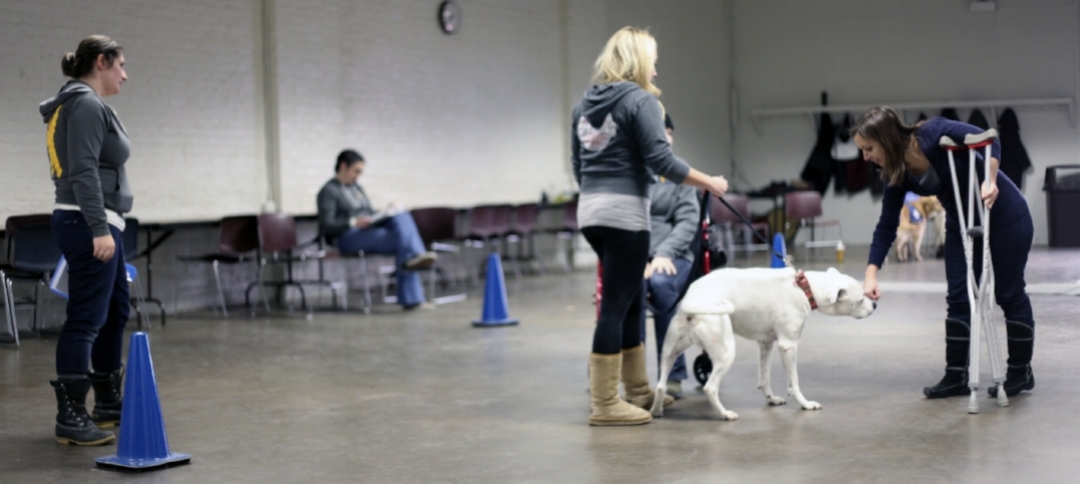 IV. Obedience Trial Classes and Levels