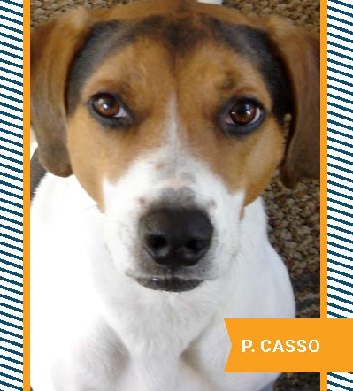 P. Casso Loftus 2016 TC_Page_1.jpg