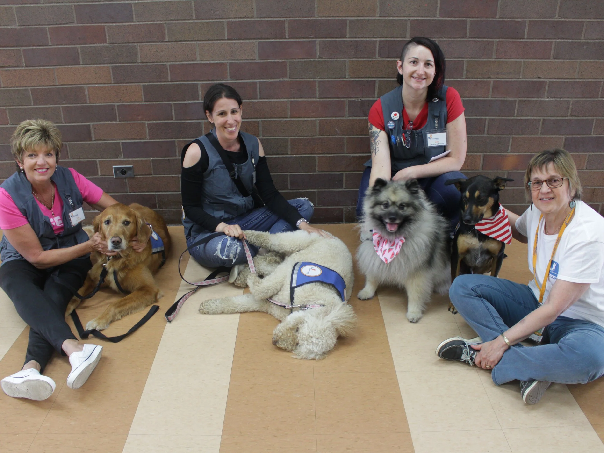 Volunteers and dogs.jpg