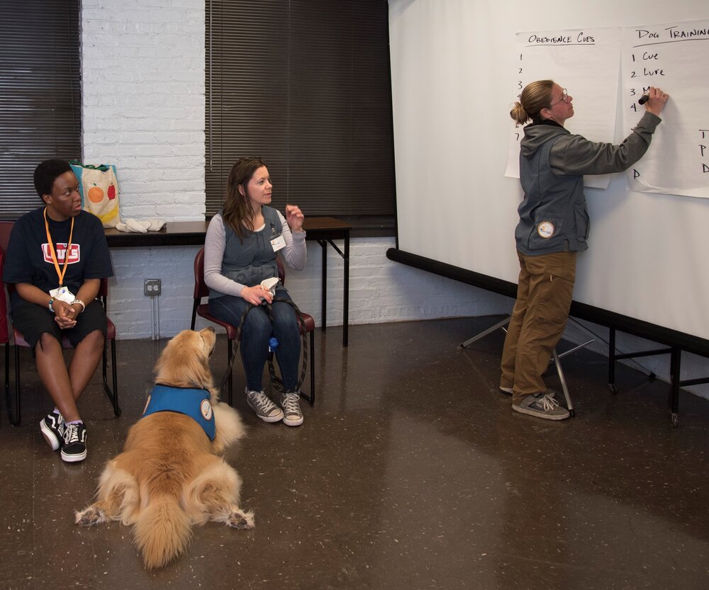 Our Programs — Canine Therapy Corps