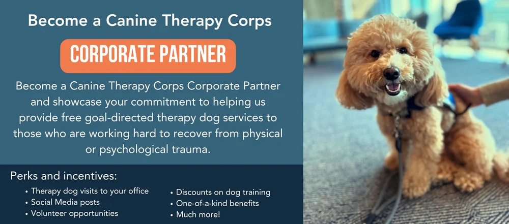 Therapy Dog Training Programs: Unlock Canine Potential