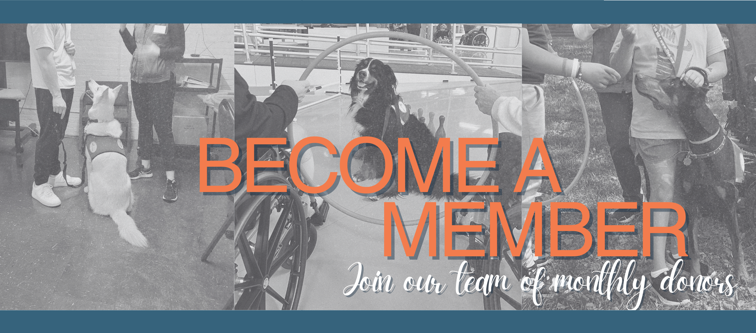 Copy of Become a Member 2024 (2500 x 1103 px).png