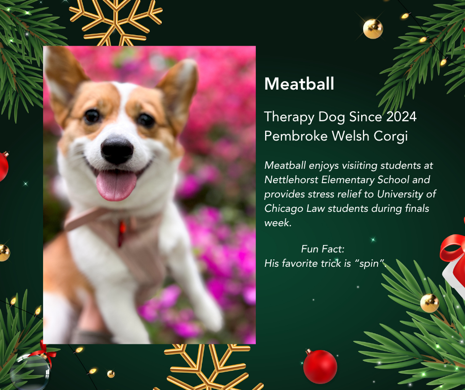 Merlin