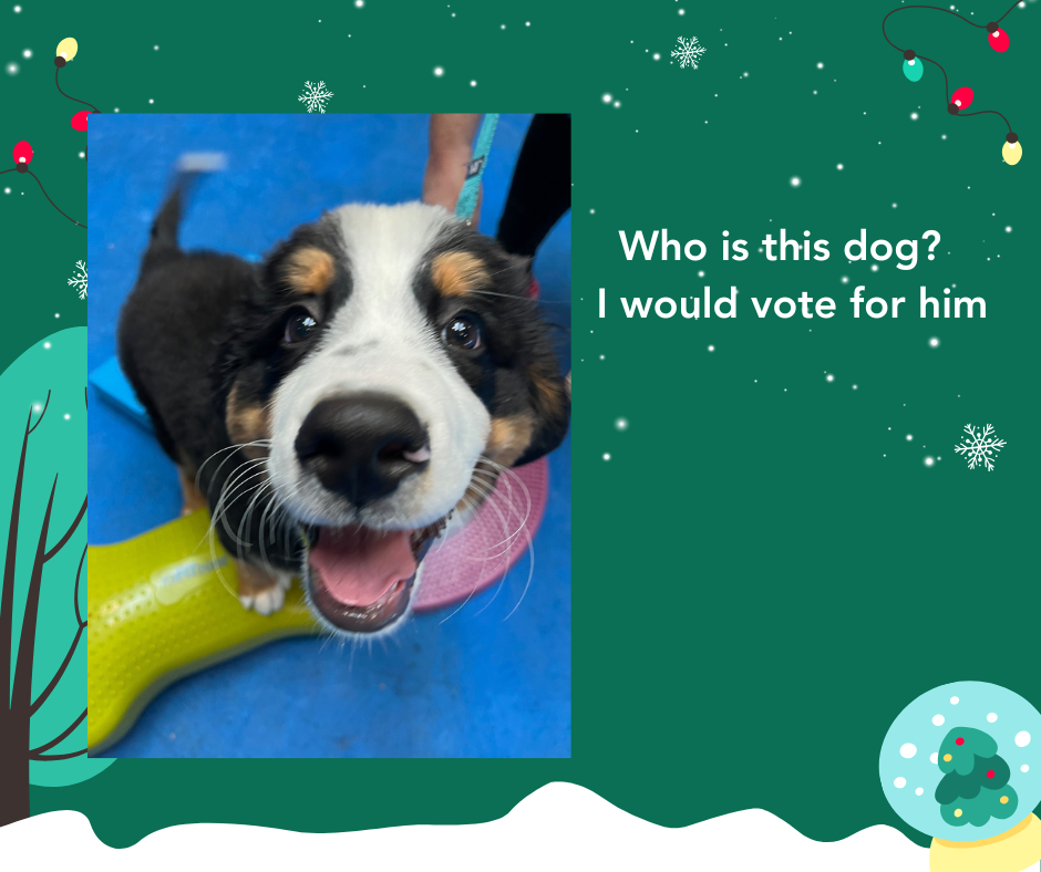 Copy of Meatball.png