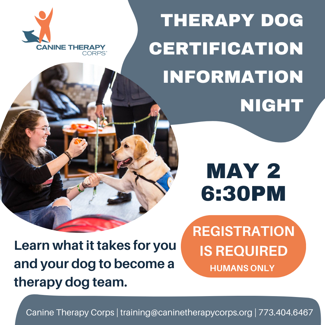 Therapy Dog Certification Information Night Canine Therapy Corps