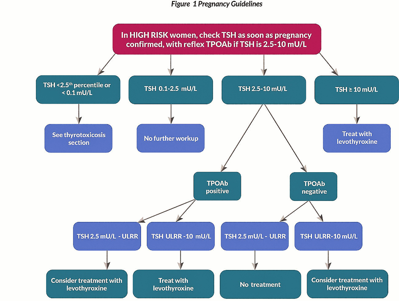 2017 ATA Guidelines Thyroid Pregnancy part 1 GT Health 