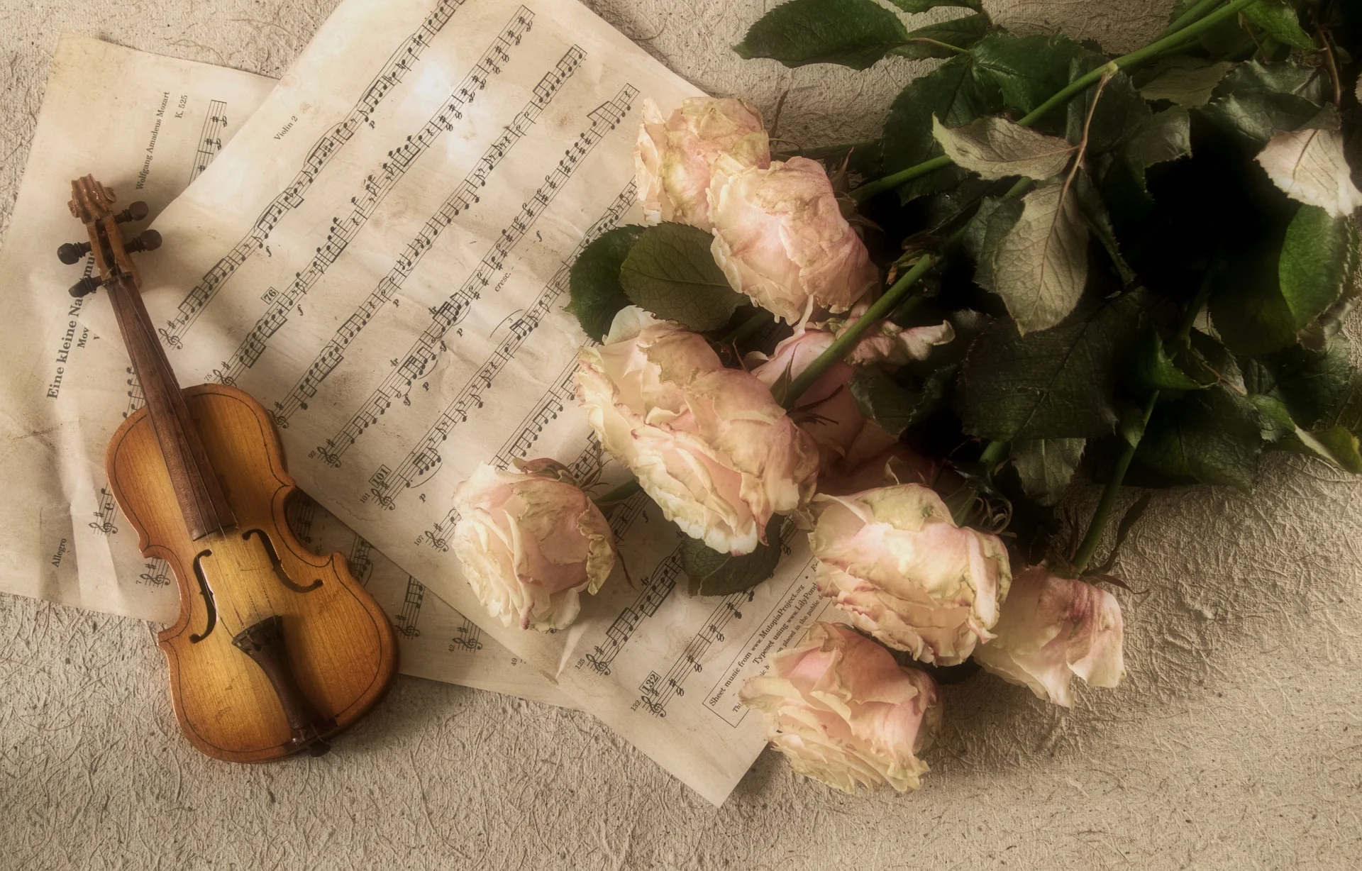 violin-2946996_1920.jpg
