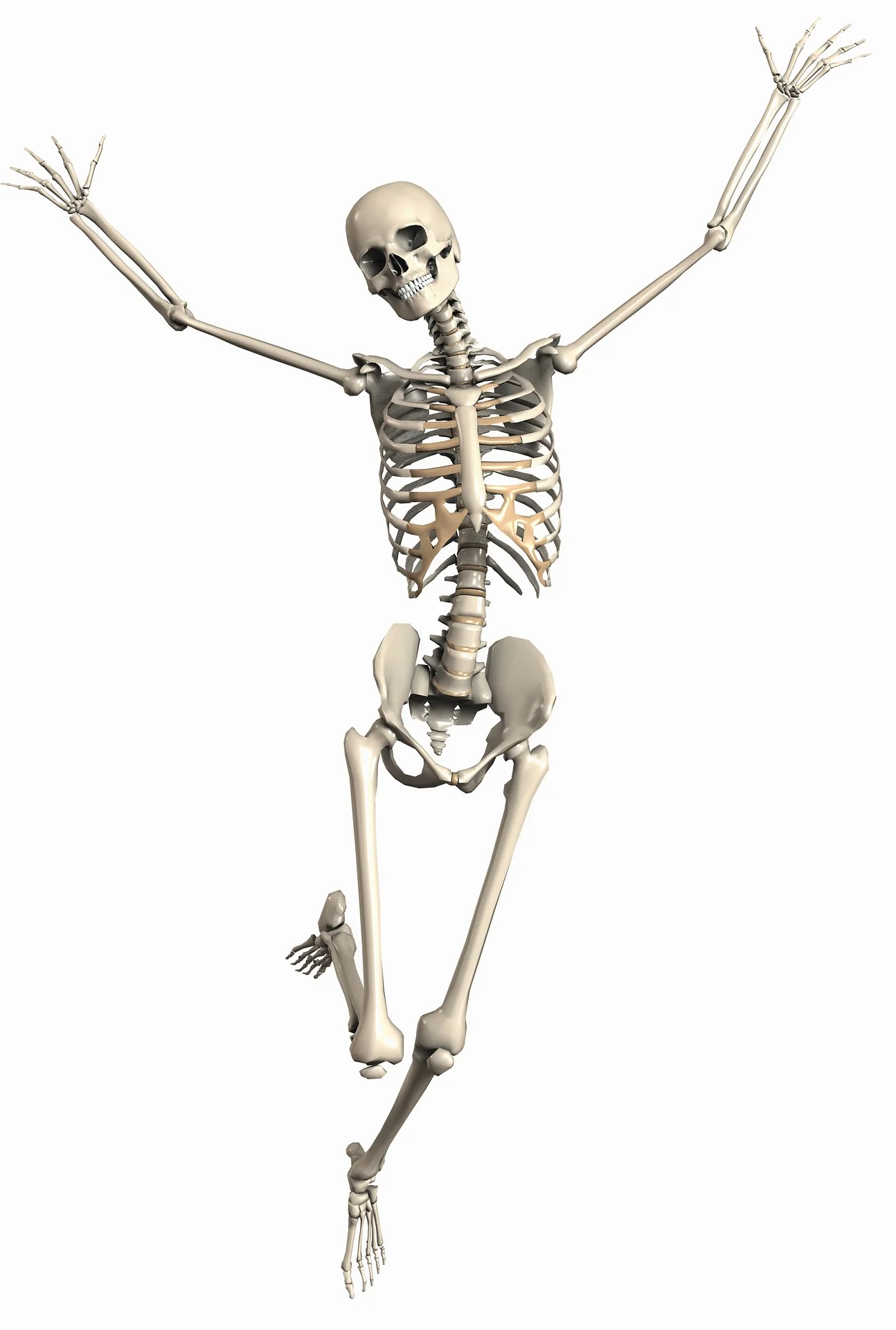 Bone health.jpg