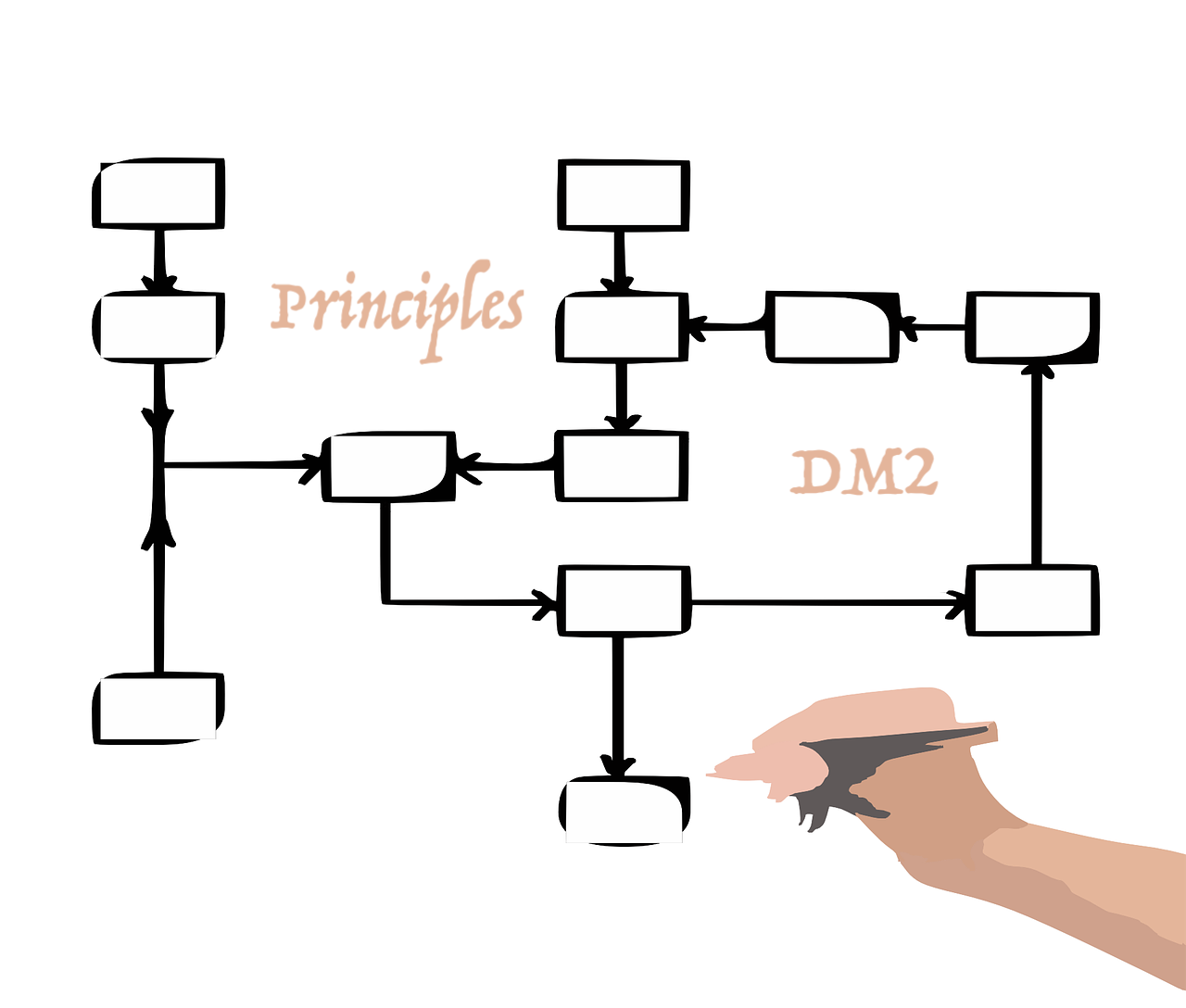 AACE Flowchart.png