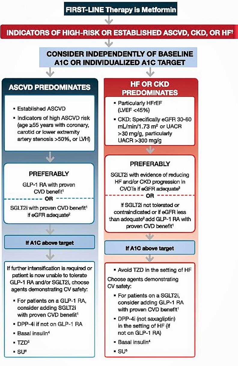 diabetes type 2 treatment algorithm kezelés háztartási körülmények között a cukorbetegség