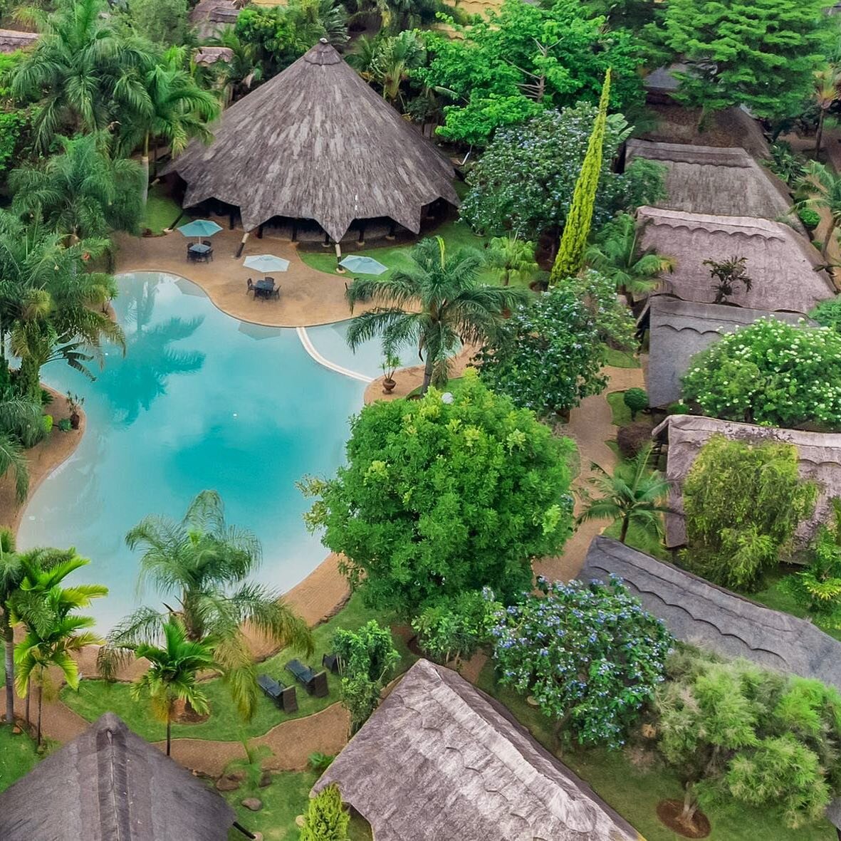 A birds eye view of some of our luxurious thatched chalets set amongst beautifully landscaped tropical gardens. When are you staying over? #sandyscreationsresort