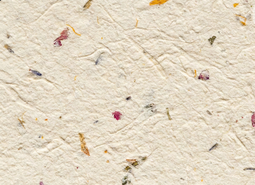 taketa_background.png