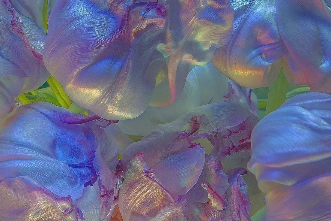 oct 2024 banner for axis.jpeg