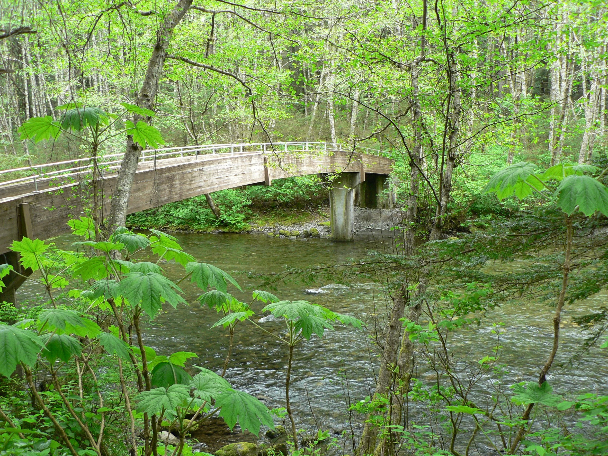 AM Background Photo.JPG