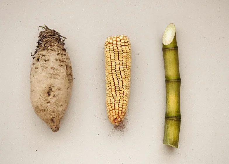2) Resources: Plant-based renewable resources chosen such as beet, corn starch, sugarcane 