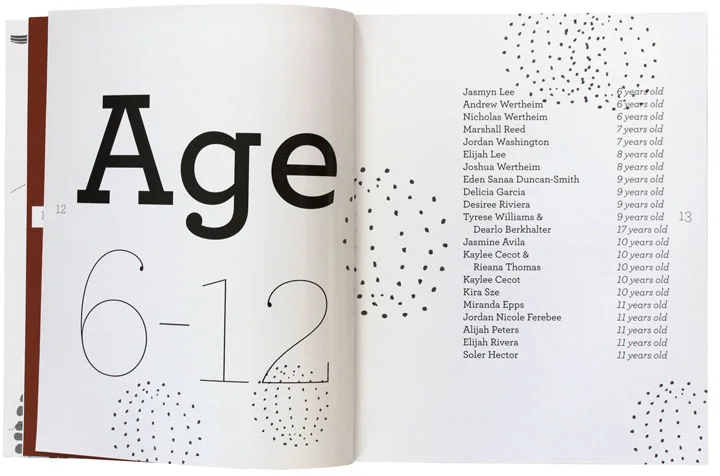 Something Deeper Happened: Young Voices and the 2008 Election